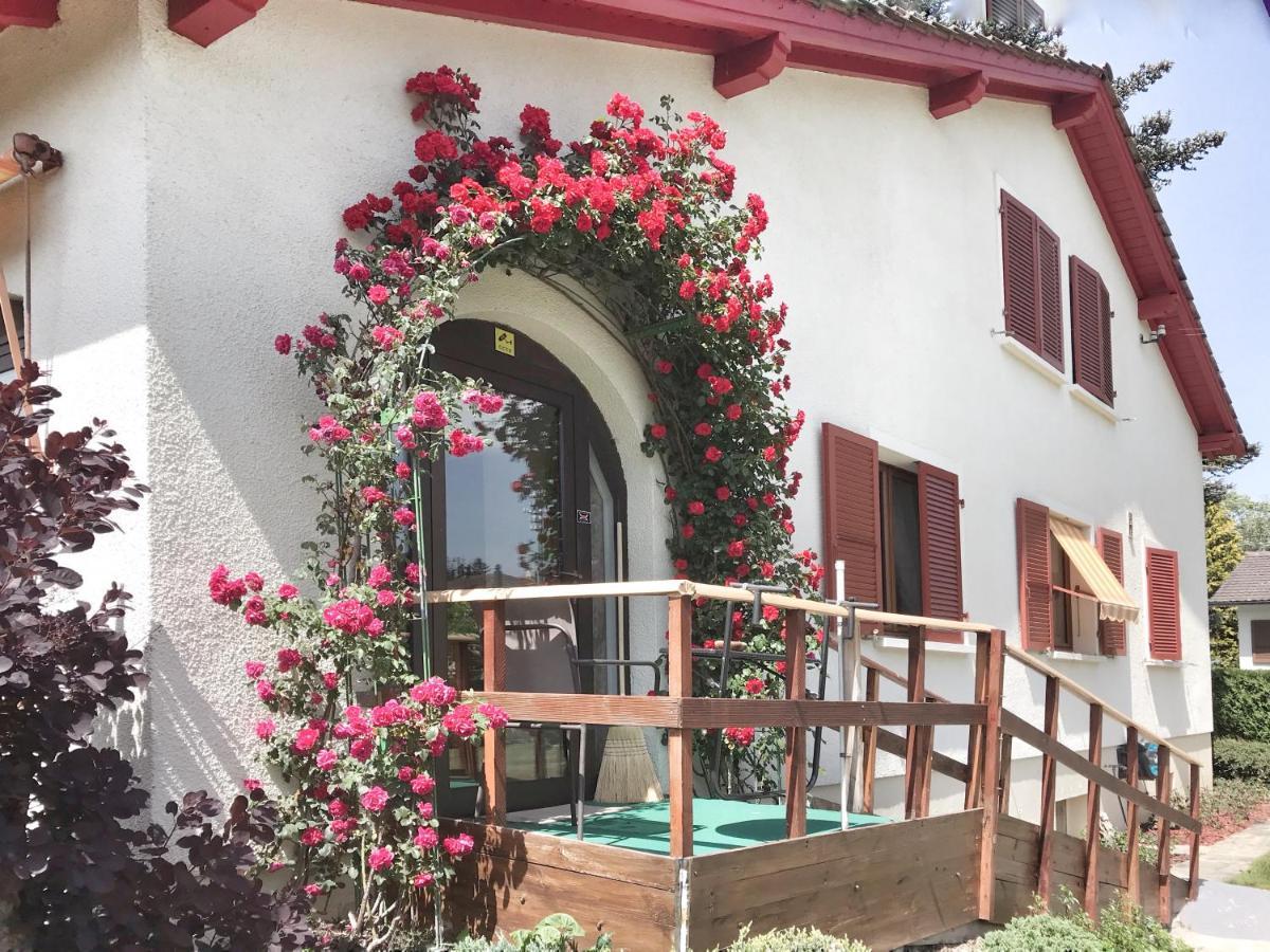 Lindo Lugar - Just A 7 Minute Walk From The Airport Bed & Breakfast Meyrin Exterior photo